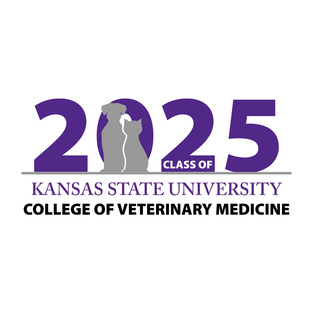 Class of 2025 - Class Logo
