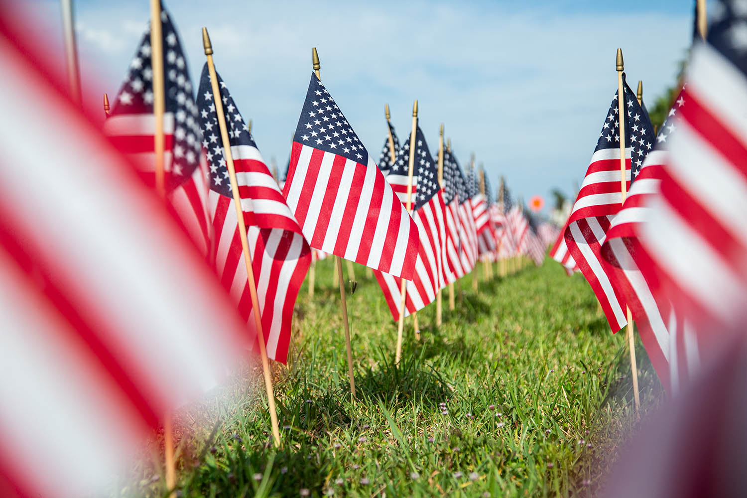 Memorial Day American Flags