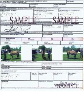 Paperwork example