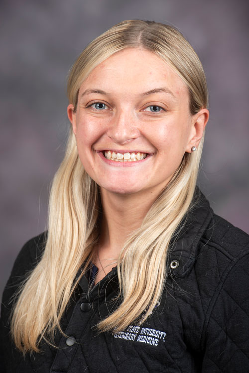 Headshot of megan carlson